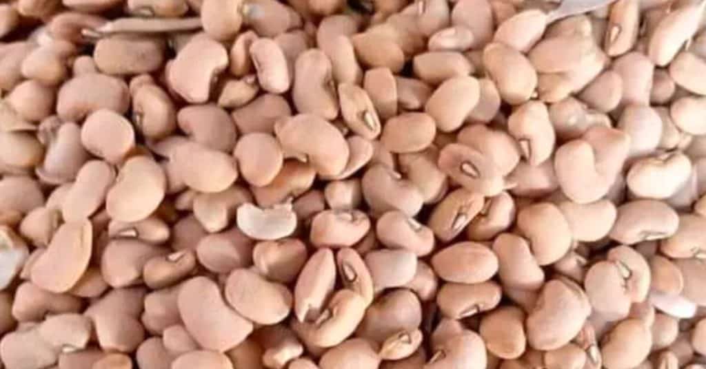 Price of Bag of Beans in Nigeria
